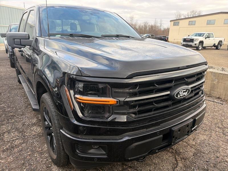 Ford F-150 XLT SuperCrew 4WD 2024