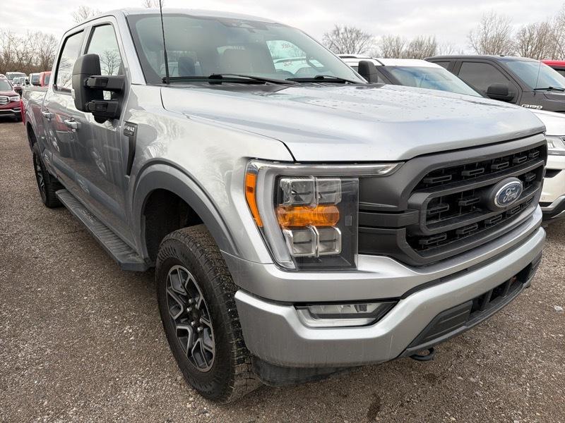 Ford F-150 XLT SuperCrew 5.5-ft. Bed 4WD 2023