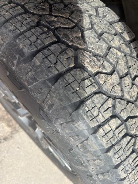 GMC Sierra 1500 Elevation Crew Cab 4WD 2024