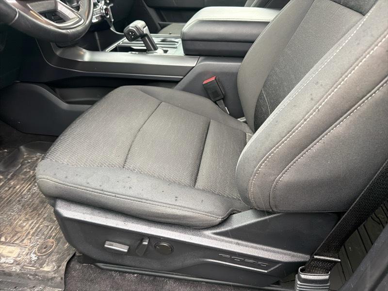 Ford F-150 XLT SuperCrew 4WD 2024