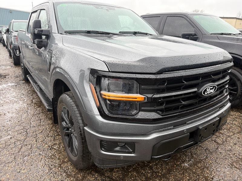 Ford F-150 XLT SuperCrew 4WD 2024
