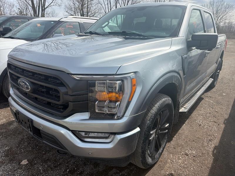 Ford F-150 XLT SuperCrew 5.5-ft. Bed 4WD 2023