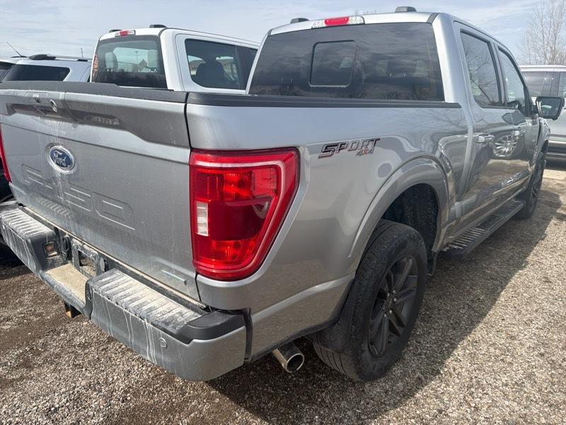 Ford F-150 XLT SuperCrew 5.5-ft. Bed 4WD 2023