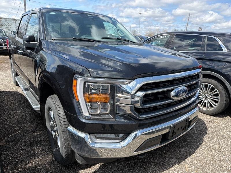 Ford F-150 XLT SuperCrew 5.5-ft. Bed 4WD 2023