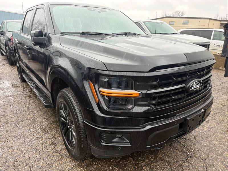 Ford F-150 XLT SuperCrew 4WD 2024