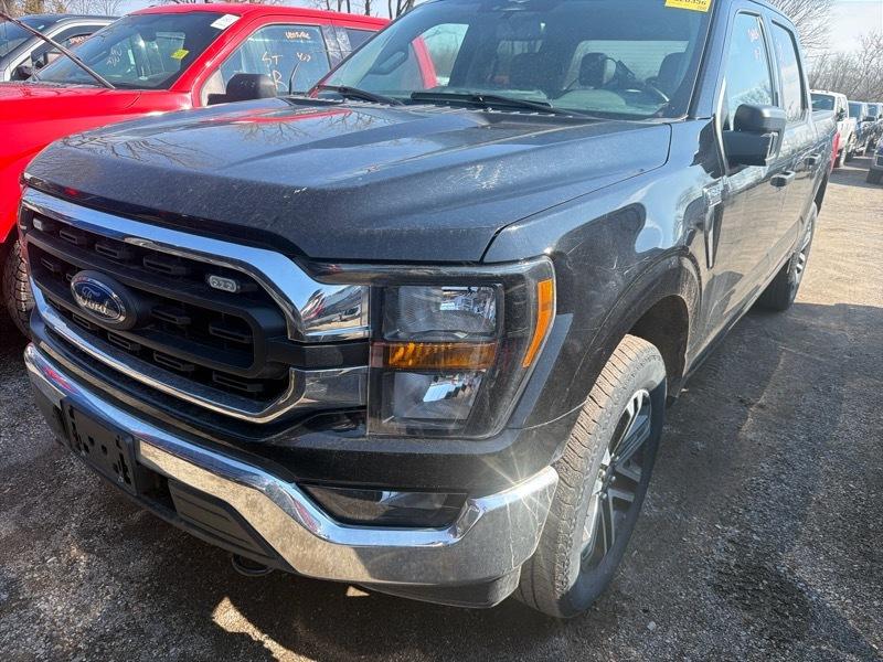Ford F-150 XLT SuperCrew 5.5-ft. Bed 4WD 2023