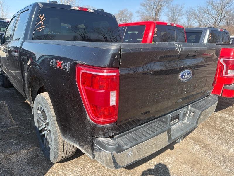 Ford F-150 XLT SuperCrew 5.5-ft. Bed 4WD 2023