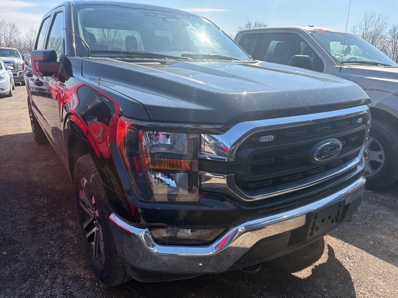 Ford F-150 XLT SuperCrew 5.5-ft. Bed 4WD 2023