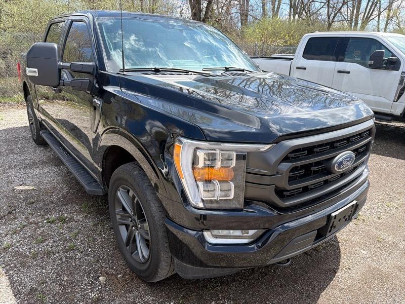 Ford F-150 XLT SuperCrew 5.5-ft. Bed 4WD 2023