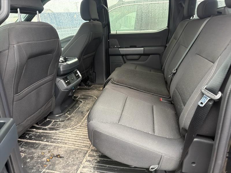 Ford F-150 XLT SuperCrew 4WD 2025