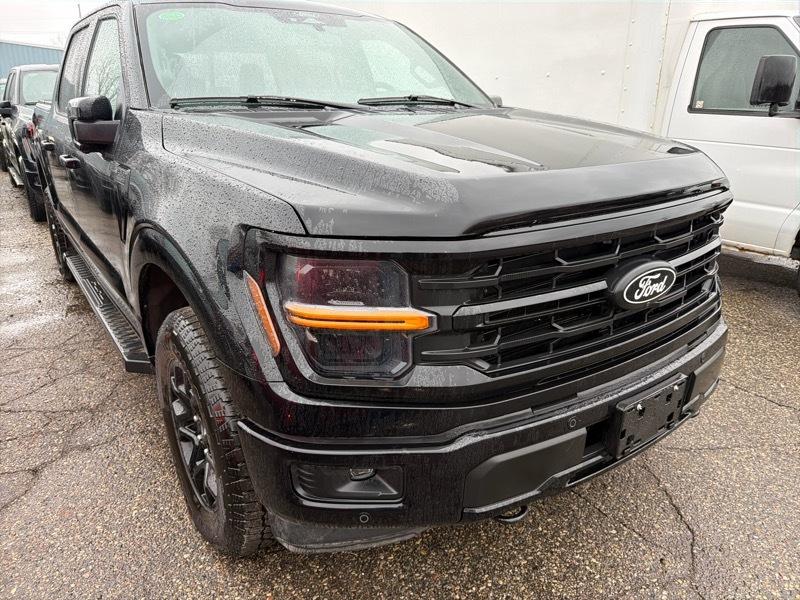 Ford F-150 XLT SuperCrew 4WD 2025