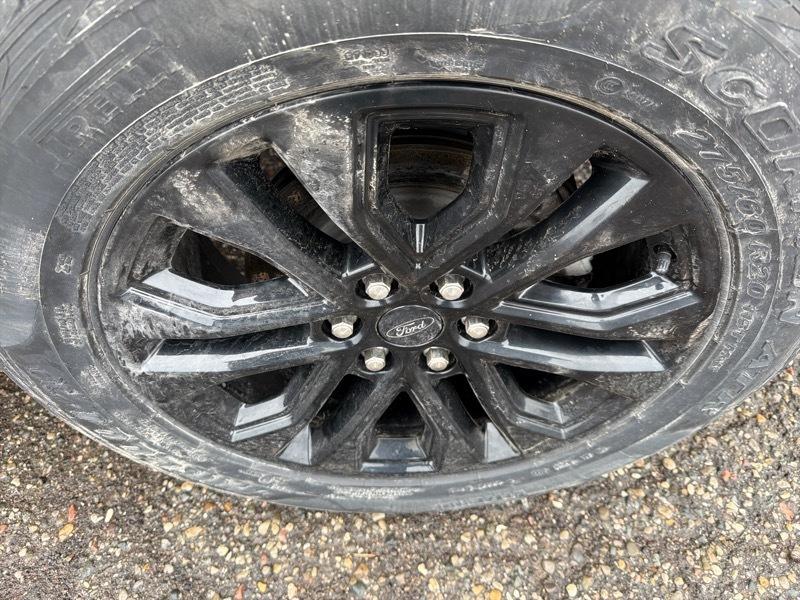 Ford F-150 XLT SuperCrew 4WD 2024