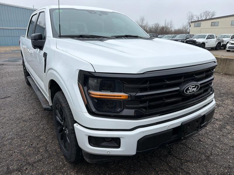 Ford F-150 XLT SuperCrew 4WD 2024