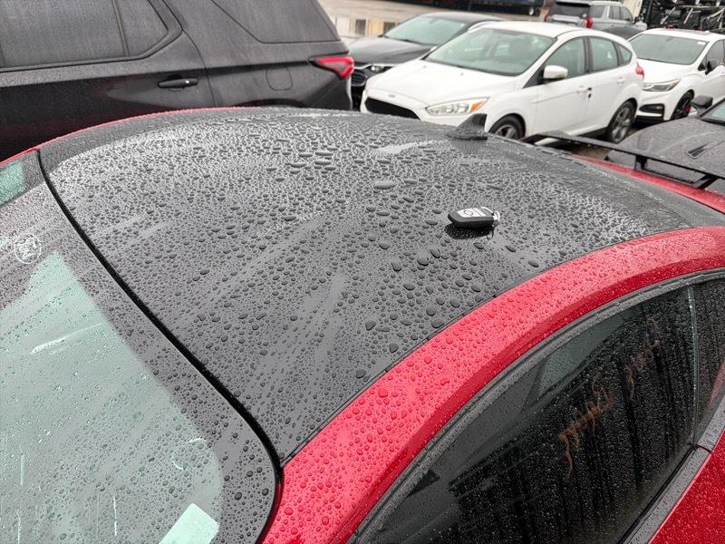 Ford Mustang GT Premium Coupe 2024