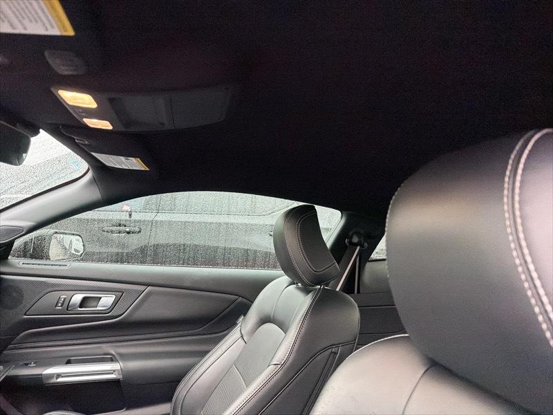 Ford Mustang GT Premium Coupe 2024