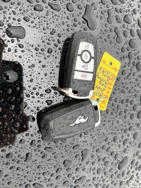 Ford Mustang GT Premium Coupe 2024