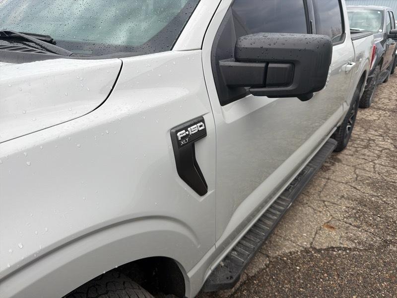 Ford F-150 XLT SuperCrew 5.5-ft. Bed 4WD 2023