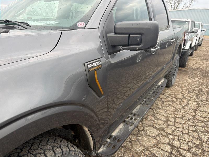 Ford F-150 Tremor SuperCrew 4WD 2024