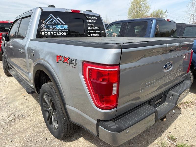 Ford F-150 XLT SuperCrew 6.5-ft. Bed 4WD 2021