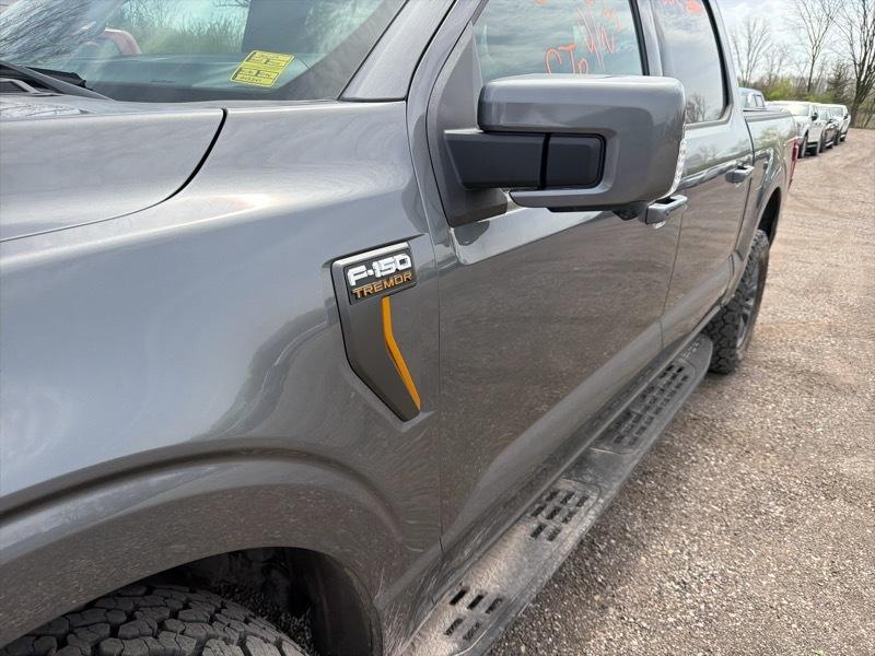 Ford F-150 Tremor SuperCrew 4WD 2025