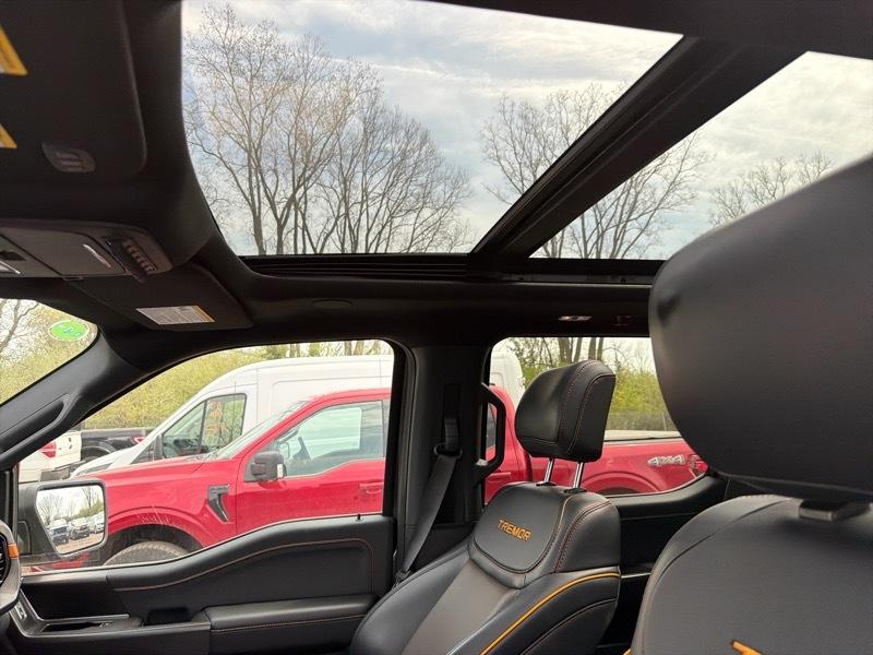 Ford F-150 Tremor SuperCrew 4WD 2025