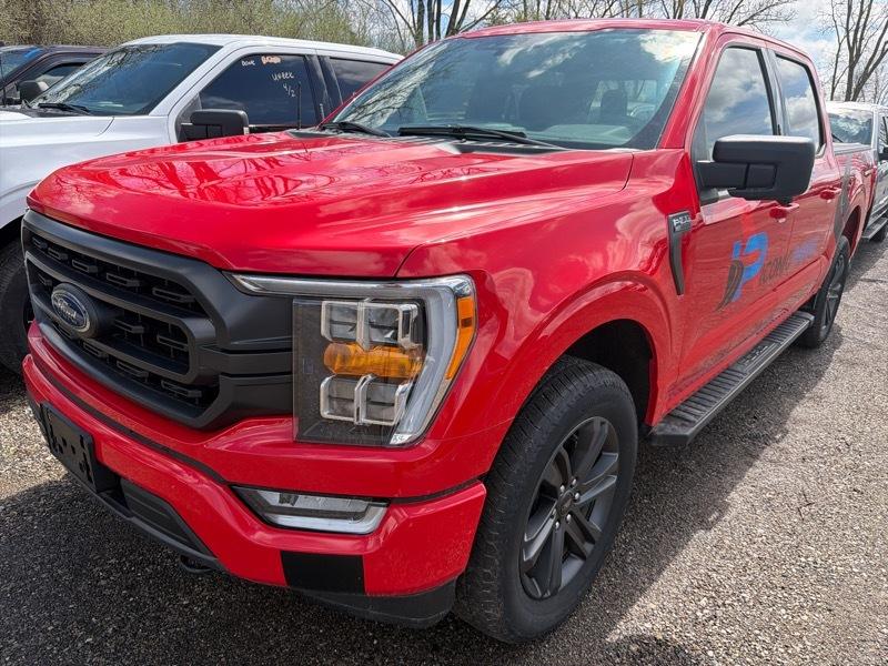 Ford F-150 XLT SuperCrew 5.5-ft. Bed 4WD 2023