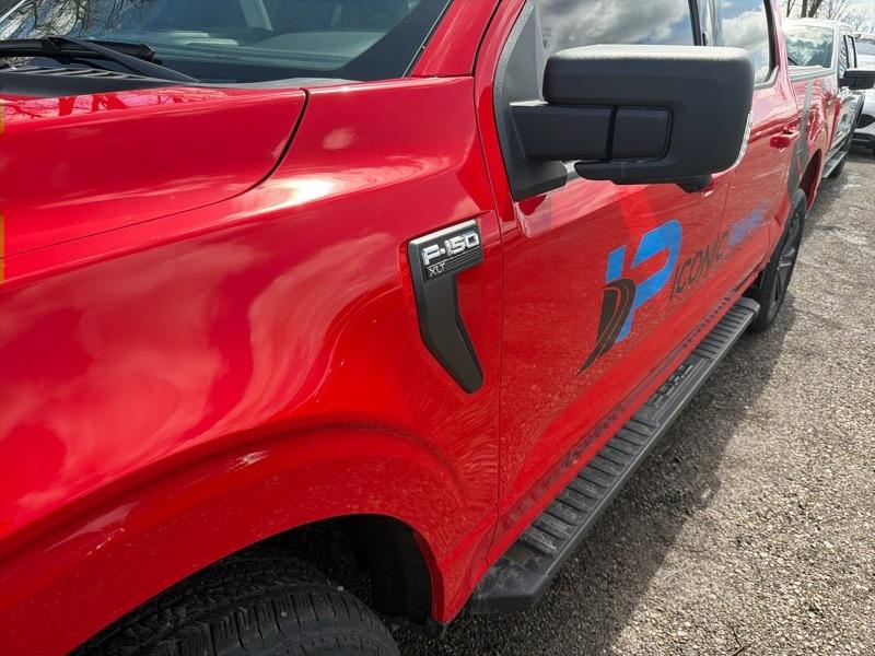 Ford F-150 XLT SuperCrew 5.5-ft. Bed 4WD 2023