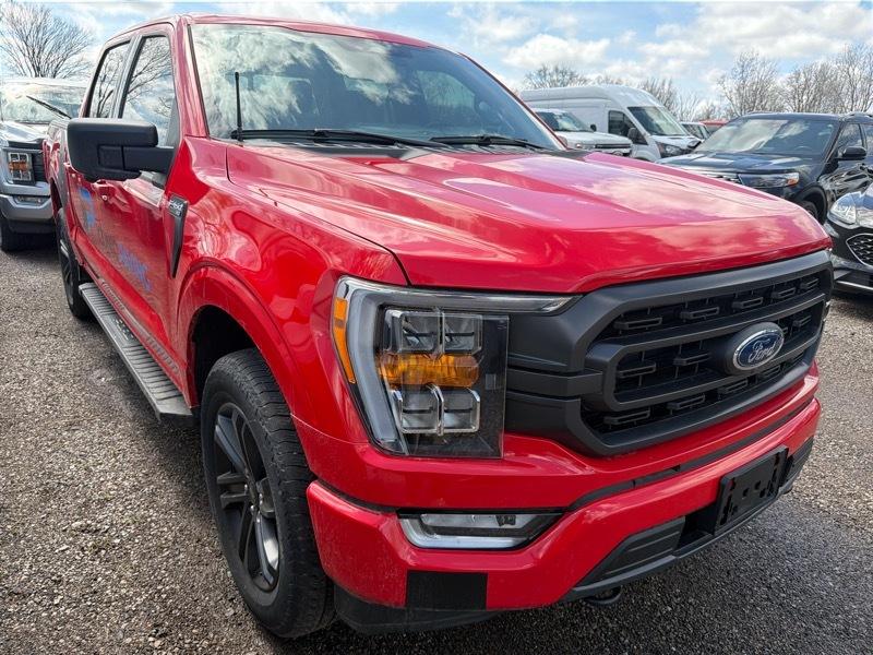 Ford F-150 XLT SuperCrew 5.5-ft. Bed 4WD 2023