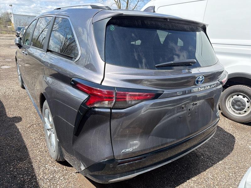 Toyota Sienna Limited 2024