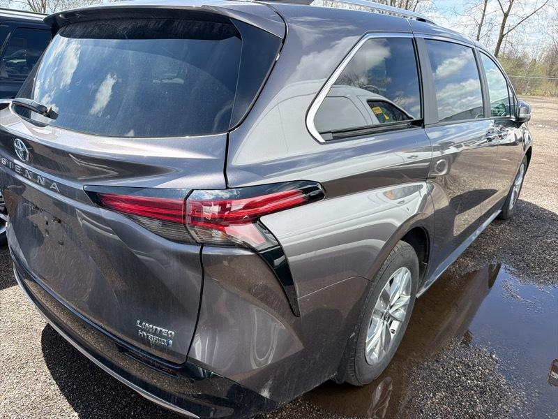 Toyota Sienna Limited 2024