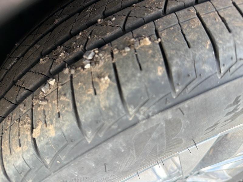 Toyota Sienna Limited 2024