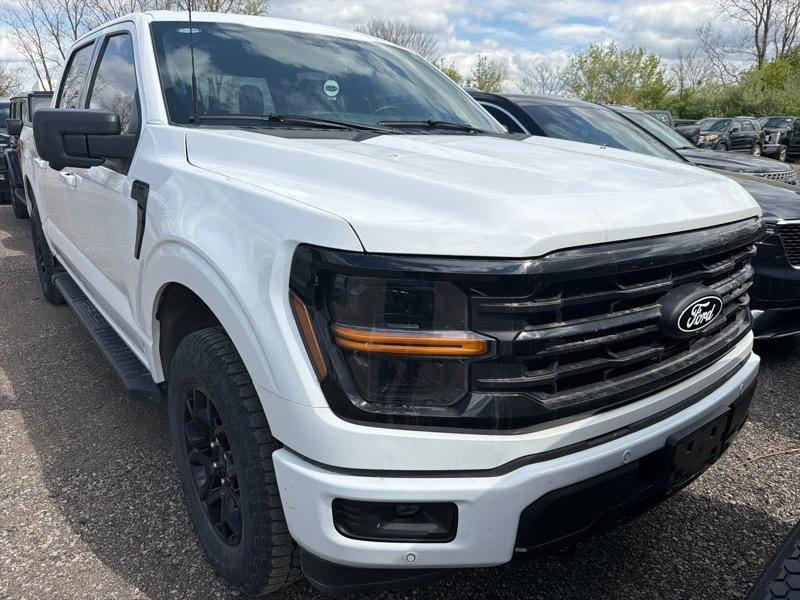 Ford F-150 XLT SuperCrew 4WD 2024