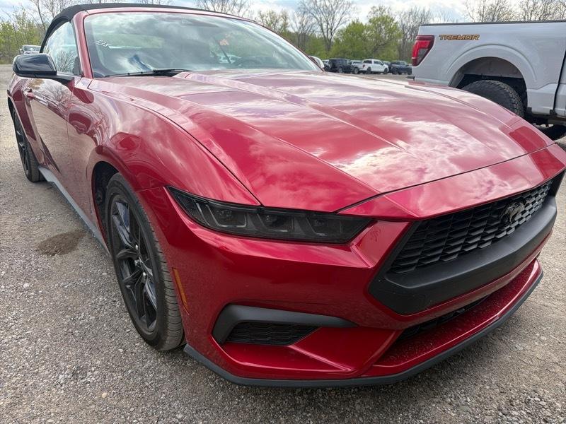 Ford Mustang  2024