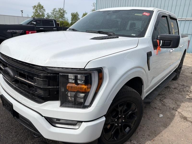2023 Ford F-150 XLT 302A SuperCrew 5.5-ft. Bed 4WD