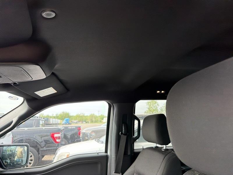 Ford F-150  2024