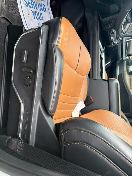Ford F-250 SD Platinum Crew Cab 4WD 2023