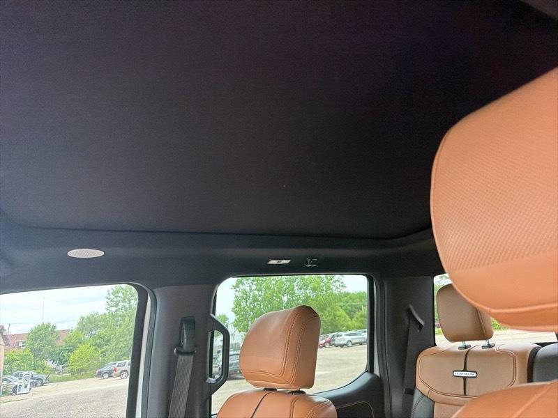 Ford F-250 SD Platinum Crew Cab 4WD 2023