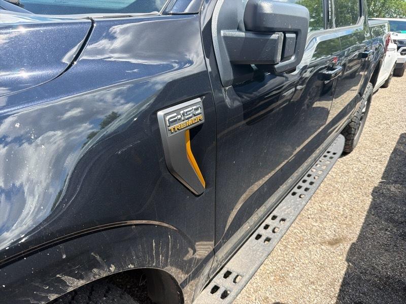 Ford F-150  2024