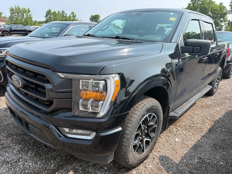 2022 Ford F-150 XLT 302A SuperCrew 6.5-ft. Bed 4WD