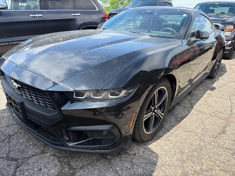 Ford Mustang  2024