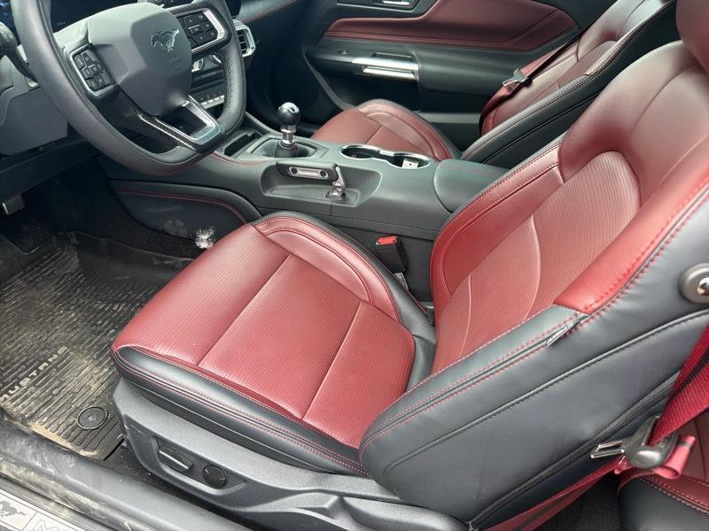 Ford Mustang  2024