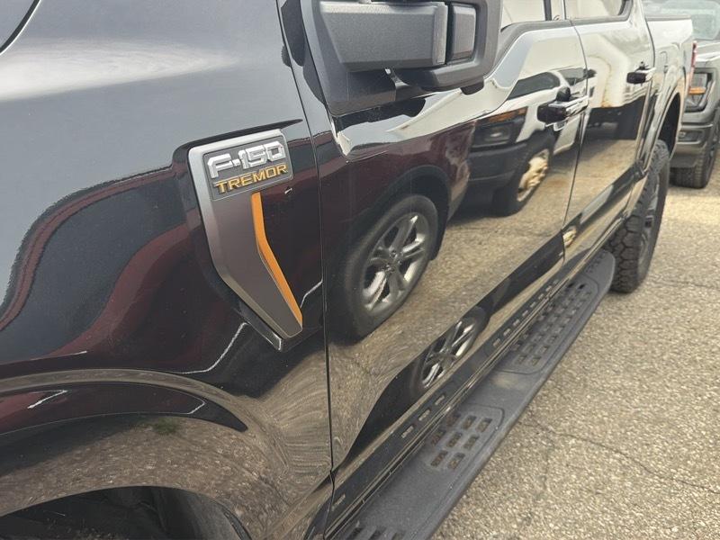 Ford F-150  2025