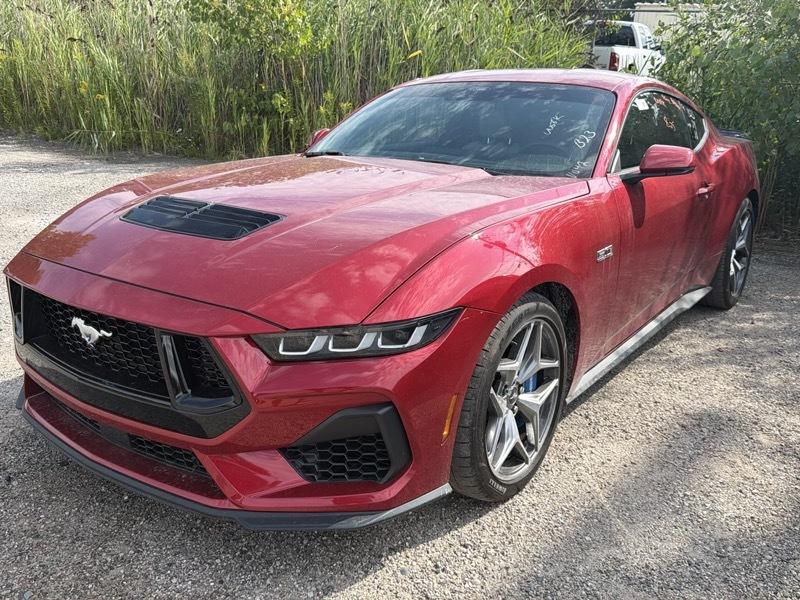 Ford Mustang  2024