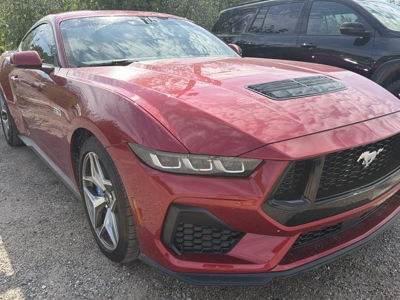 Ford Mustang  2024
