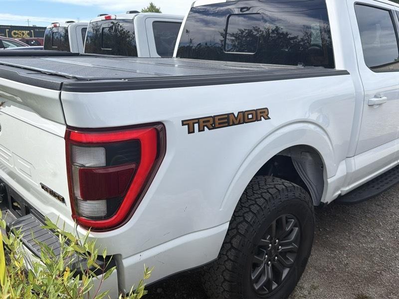 Ford F-150  2023