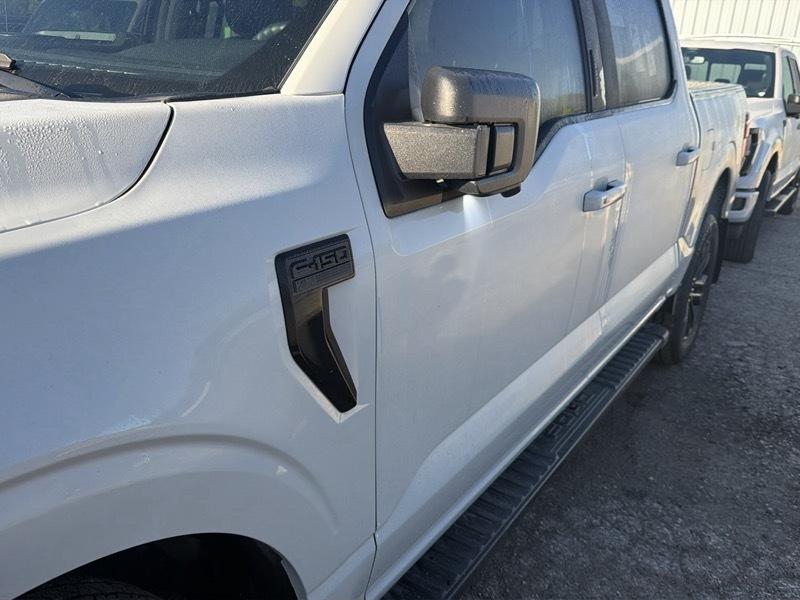 Ford F-150  2024
