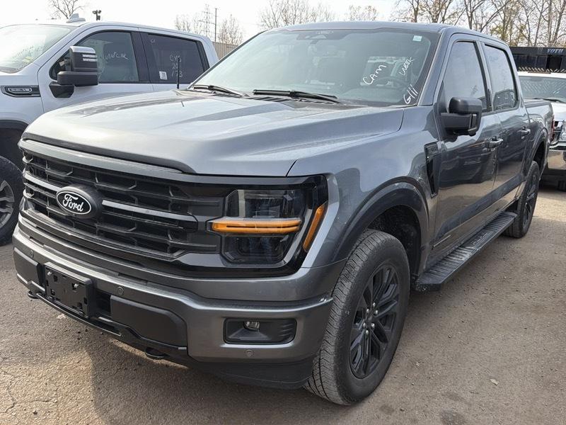 Ford F-150 XLT SuperCrew 4WD 2024