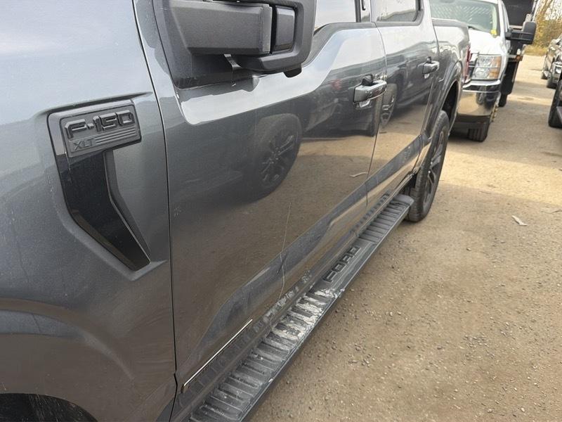 Ford F-150 XLT SuperCrew 4WD 2024