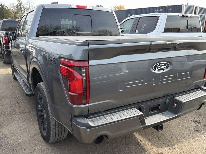 Ford F-150 XLT SuperCrew 4WD 2024