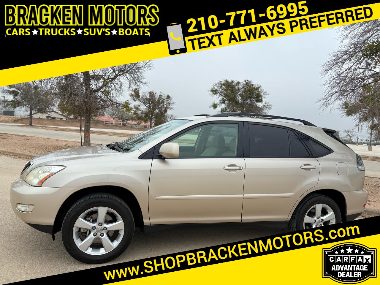 Lexus RX 330 4dr SUV 2006